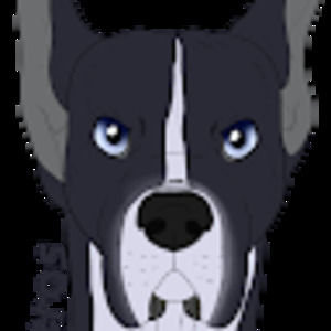 Meet your Posher, Ethan